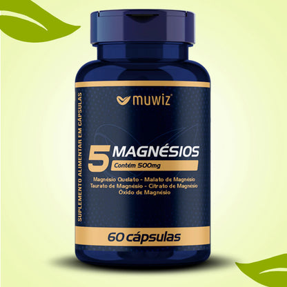 5 Magnésios 500mg 60 Cápsulas C/ Quelato, Malato, Taurato, Citrato e Óxido