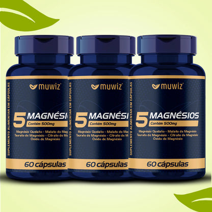 5 Magnésios 500mg 60 Cápsulas C/ Quelato, Malato, Taurato, Citrato e Óxido